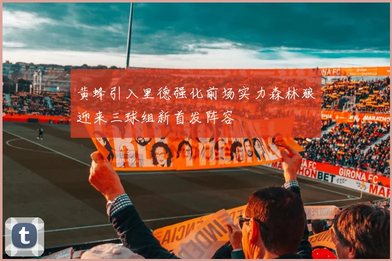 黄蜂引入里德强化前场实力森林狼迎来三球组新首发阵容